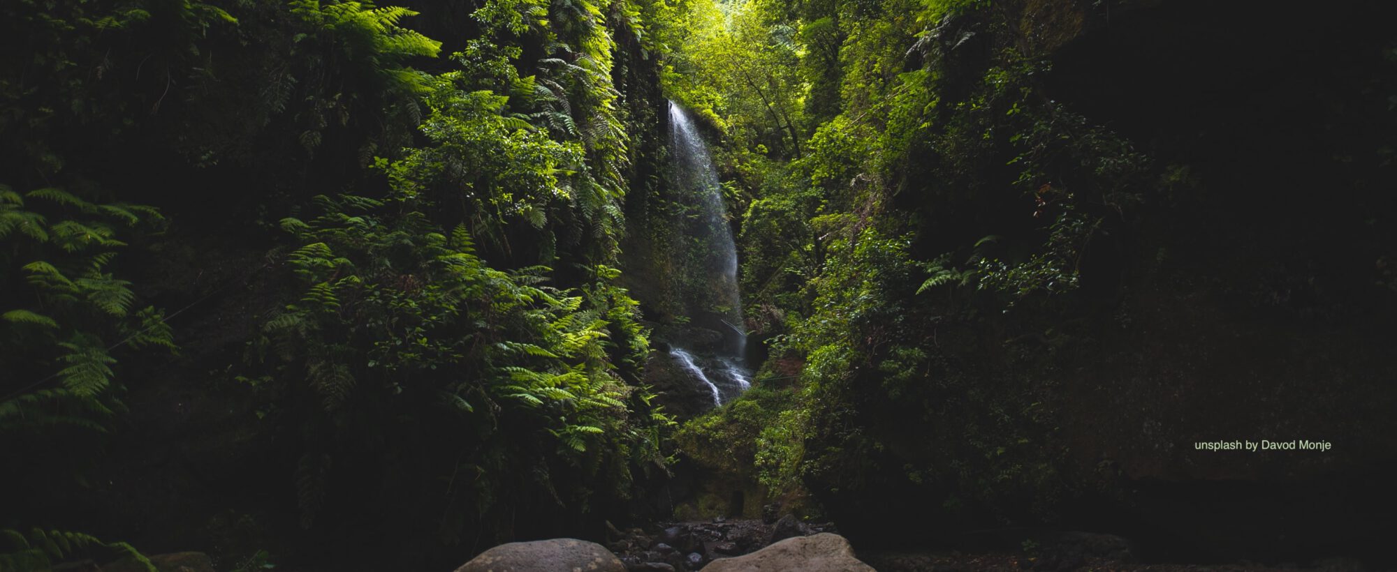 Die wilden Wasserfälle auf La Palma